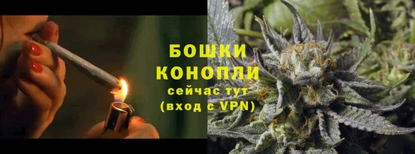 прущая мука Инта