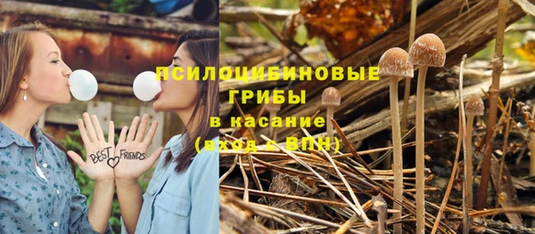 прущая мука Инта