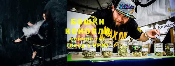прущая мука Инта