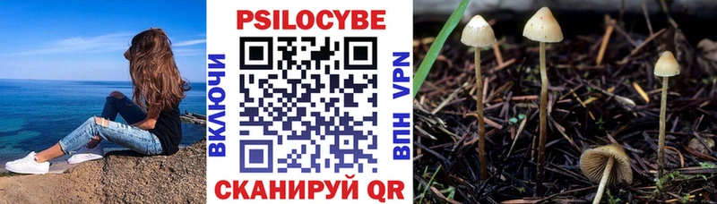Галлюциногенные грибы Psilocybe  Купить закладки  Кодинск 